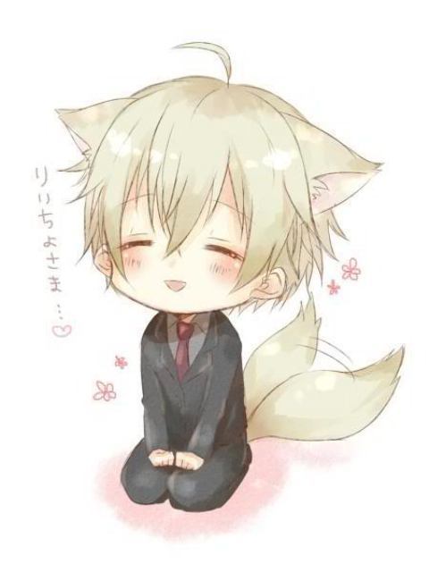 Kawaii neko, kitsune, inu