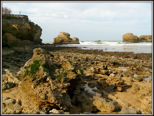 Marée basse à la grande plage