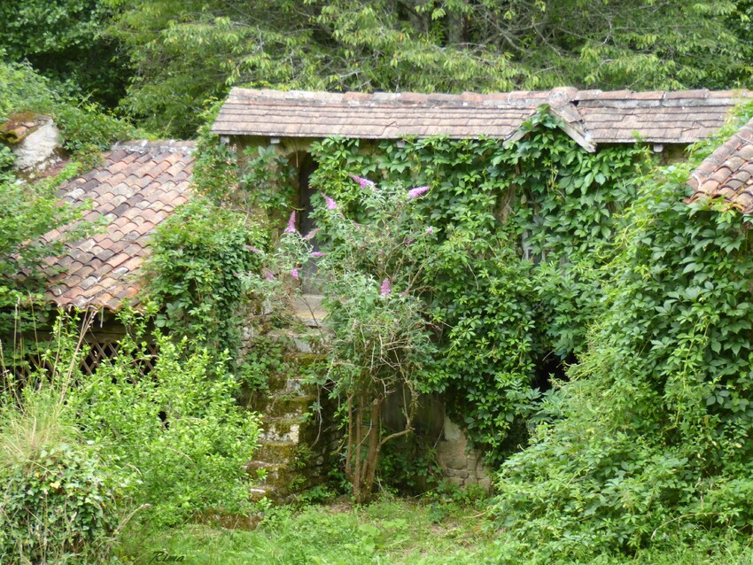 Moulin de mouchedune ,Charente,