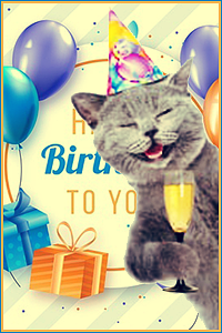 Chat anniversaire 