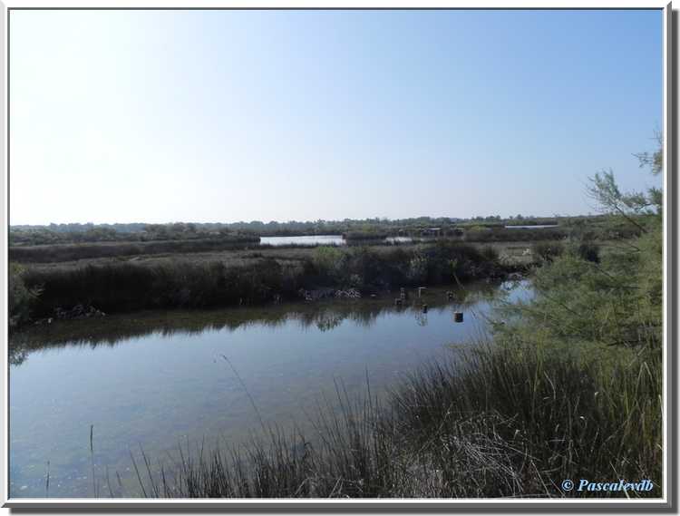 Parc ornithologique du Teich 