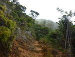 Campismo La Mula - Las Cuevas : 12 km