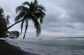 Les côtes costariciennes 1