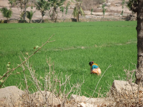 Hampi