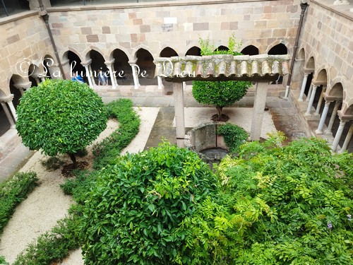 Fréjus, le cloître de la cathédrale saint Léonce