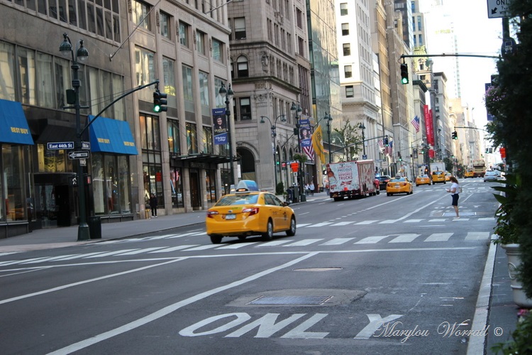 New York : Little Italy