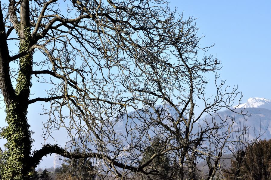 2019.02.20 Autour du village de Tavernolles 1