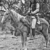 White Mountain Apache, sans date