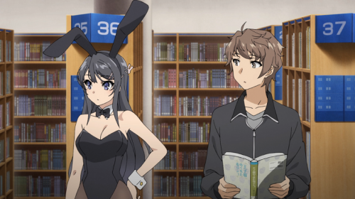 Rascal Does Not Dream of Bunny Girl Senpai