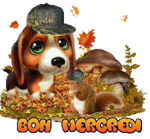Gif animé Bon mercredi - automne - chiot beagle - écureuil - les gifs  animés de dentelledelune