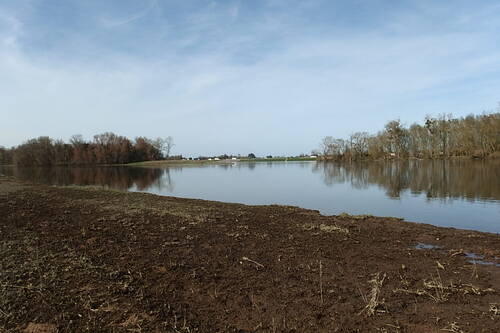La Loire hier. Photo prise entre 2 îles