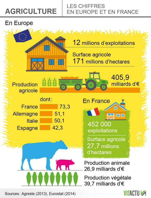 Agriculture : les chiffres en Europe et en France