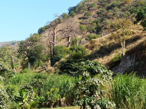 de fabuleux paysages de montagne