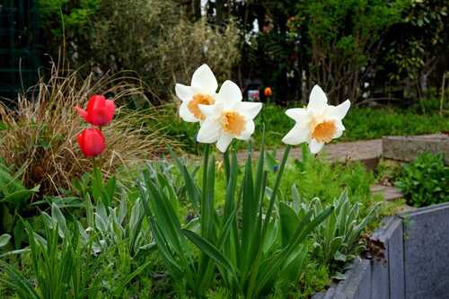 Floralies de printemps