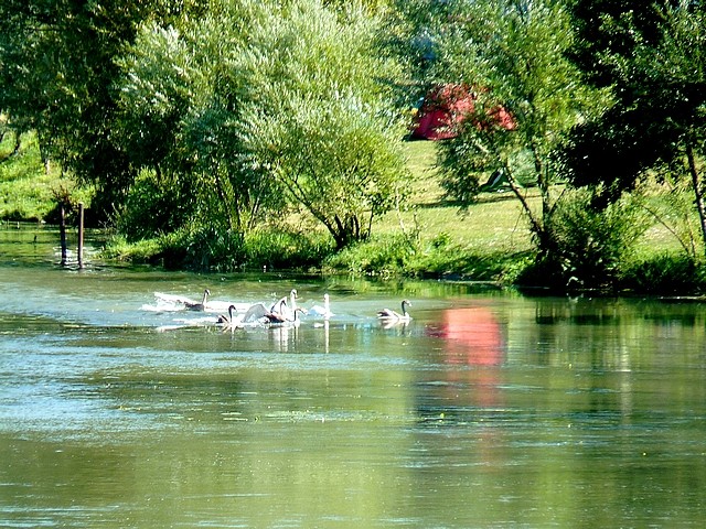 Près du port céréalier de Metz 11 Marc de Metz 31 08 201