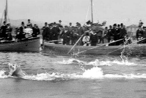 Natation premières épreuves aux JO 1896.jpg