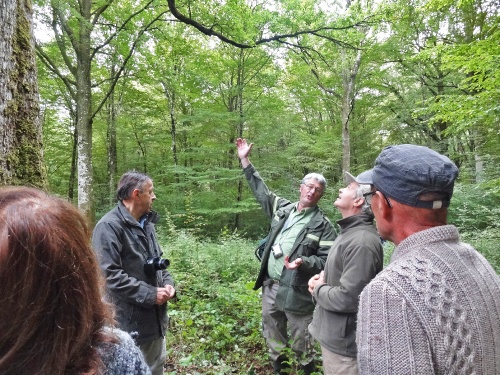 "La forêt, berceau de l'Harmonie" une découverte de notre belle  forêt Châtillonnaise avec Paul Brossault...