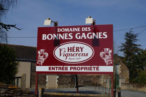 Circuit des Vignes à Orgigné