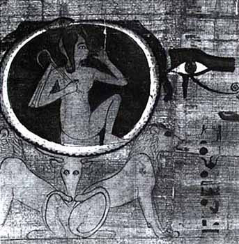 papyrus dama heroub