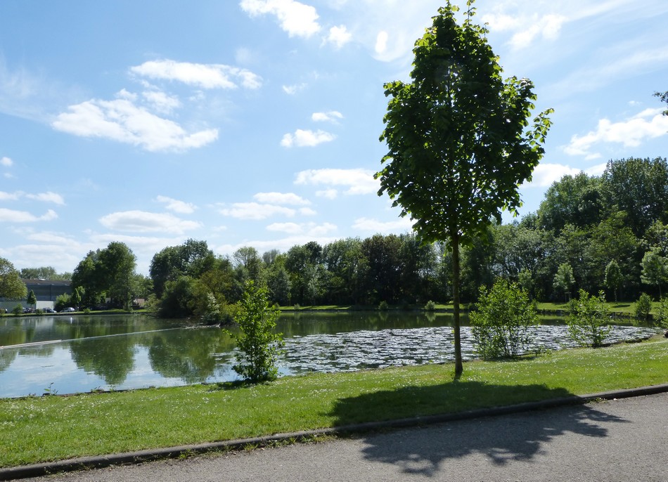 Un dimanche au parc de la Hotoie