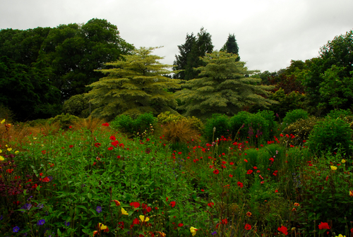 Gardens of Corwall, été 2015.