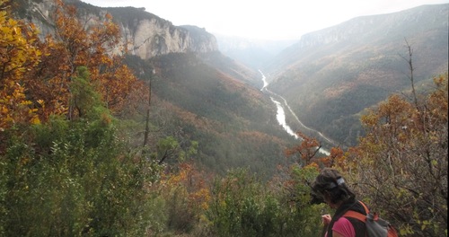 falaises d'automnes en gorges du Tarn