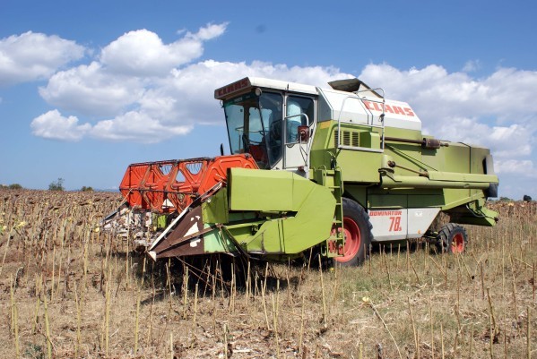 Moisson tournesols 12861