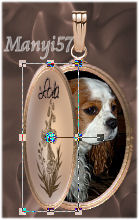 Animációs Medal