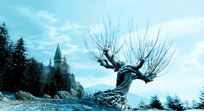 Harry Potter débarque au château d'If - Tarpin bien