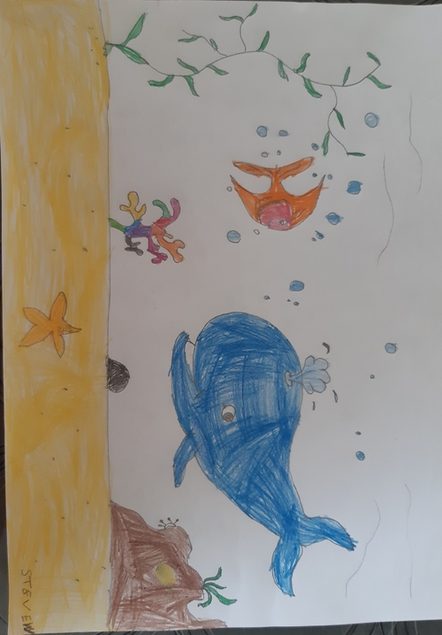 La Baleine et le petit poisson