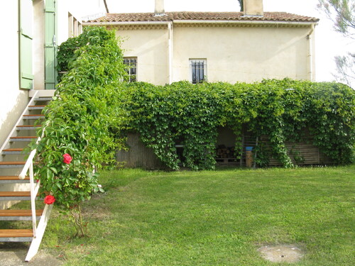 Le jardin