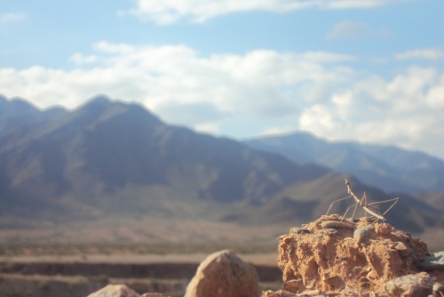 En Cafayate