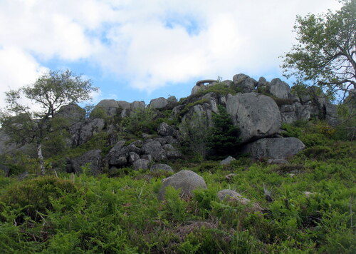 Randonnée dans le Livradois Forez du 6 au 08.06.2017..1er Jour.Vollore Montagne.19 kms