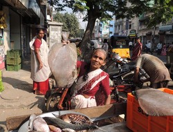 Marchande de poissons - Poissonnière - CHENNAI