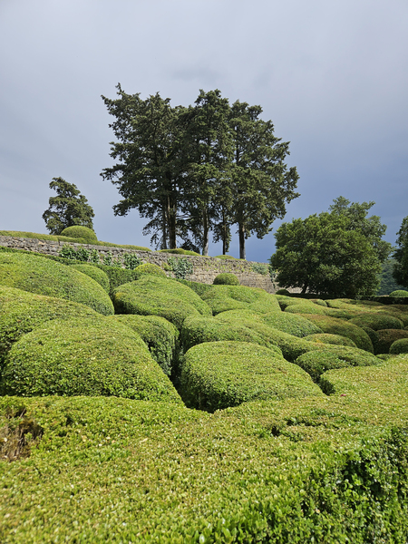 Les Jardins de Marqueyssac