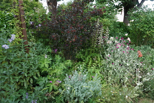 Le jardin naturellement beau de Michèle