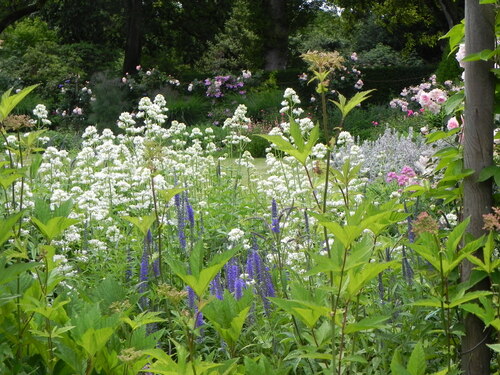 Le jardin de la rue du Lin 