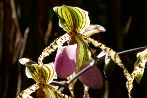 Le cartoscope du mercredi 19 octobre 2022
