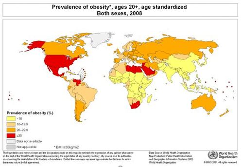 OBESITY: THE DISEASE OF DEVELOPED COUNTRIES