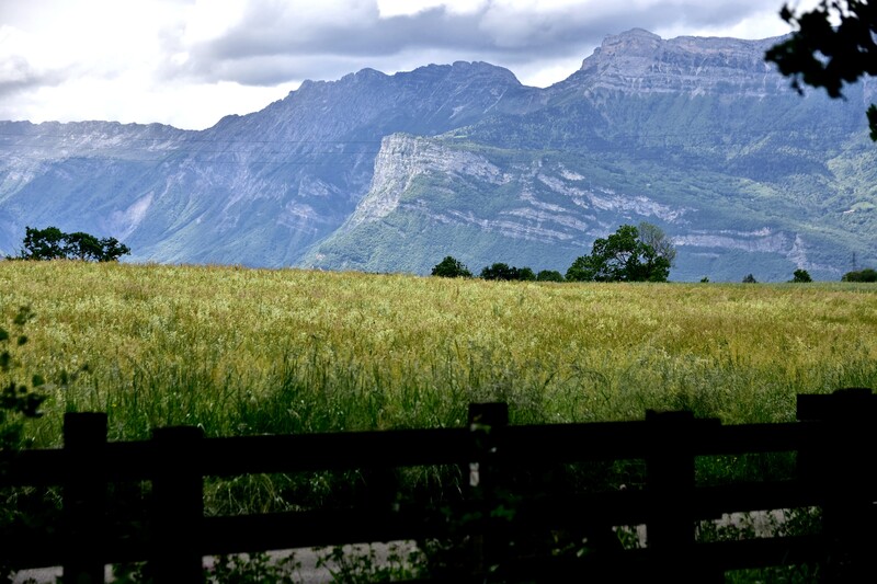 Réserve Naturelle de Haute-Jarrie (Isère) 2