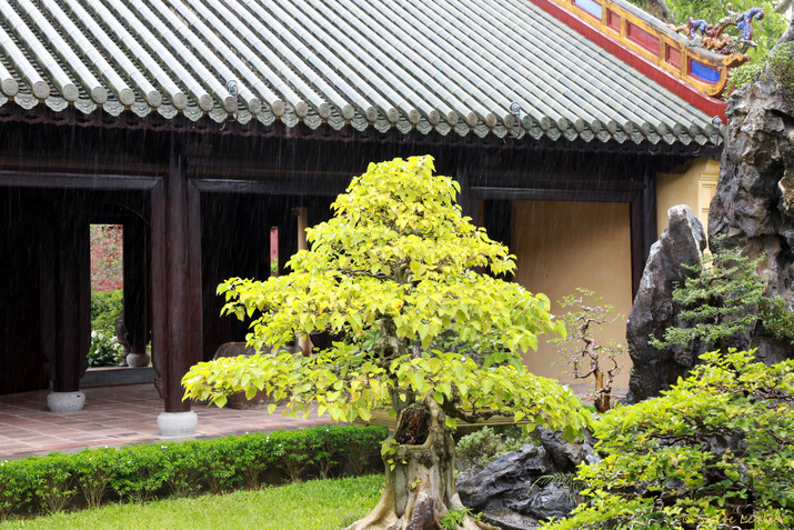 Cité impériale : la cité pourpre interdite, le jardin Thieu Phuong