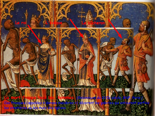 Les campagnes dans l'Occident médiéval ( XIe - XVe siècle)