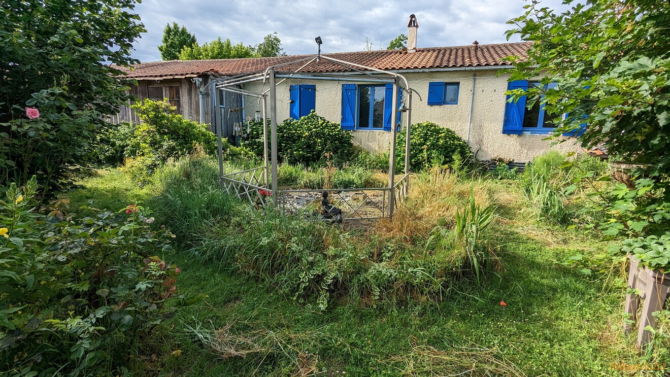 Nos fleurs du jardin - 3