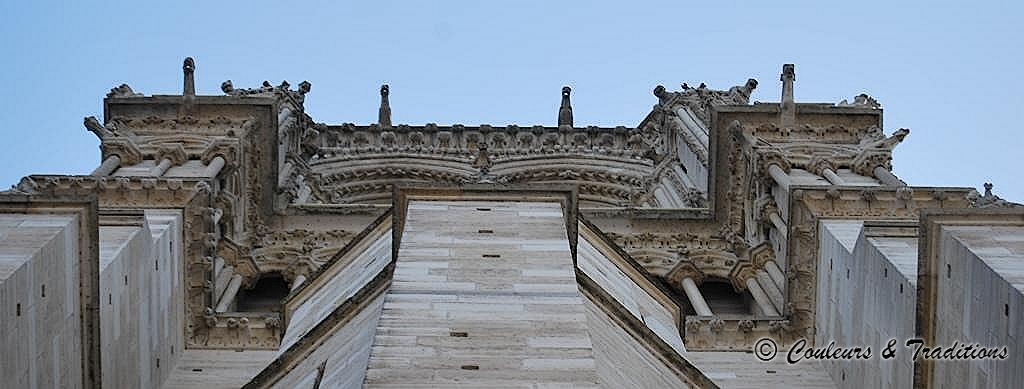  Ascension des tours de la cathédrale de Paris 