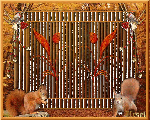 Ein gut bewohnter Wald