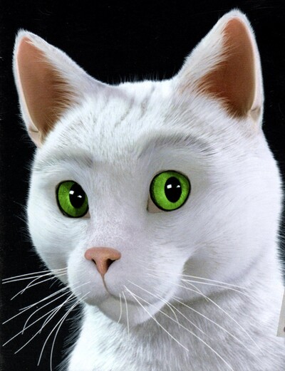Ramsès le chat de Feu Vert et réponses aux devinettes