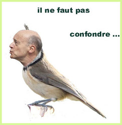 il ne faut pas confondre...