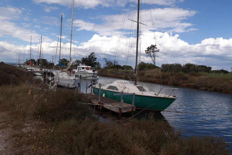 Au  bord de l Etang de Thau.