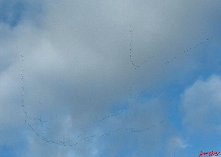 L'observation du ciel : Quand passe les nuages.......