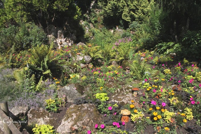 Vent de fantaisie sur le Jardin des Plantes de Nantes